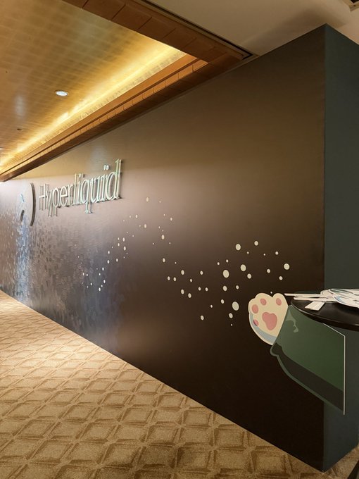 An office hallway features a dark wall with 'Hyperliquid' signage, decorated with a paw print decal holding a flag.