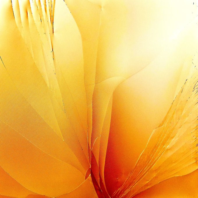 An abstract or close-up image dominated by warm yellow and orange tones, showing curved shapes and textures that resemble flower petals or folded fabric.