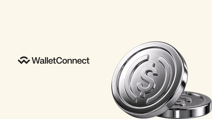 The image features the WalletConnect logo alongside two silver USDC stablecoins, visually representing the post's message about WalletConnect offering a fast, low-cost, and unrestricted payment rail for stablecoin transactions of any size.