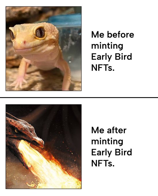 This meme contrasts a calm gecko labeled "Me before minting Early Bird NFTs" with a fire-breathing dragon labeled "Me after minting Early Bird NFTs," humorously depicting the perceived transformation in status or energy after creating these digital assets.