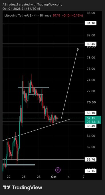 A 4-hour Litecoin/TetherUS (LTCUSDT) chart on Binance shows price at 67.15, with an upward arrow projecting toward the $80.45 resistance level, aligning with the post's bullish "$80 from here imo $LTC" prediction.