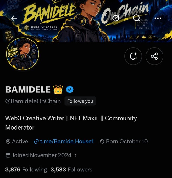 A Twitter/X profile for BAMIDELE (@BamideleOnChain) describing themselves as a 'Web3 Creative Writer || NFT Maxxii || Community Moderator' with 3,876 Following and 3,533 Followers, joined November 2024.