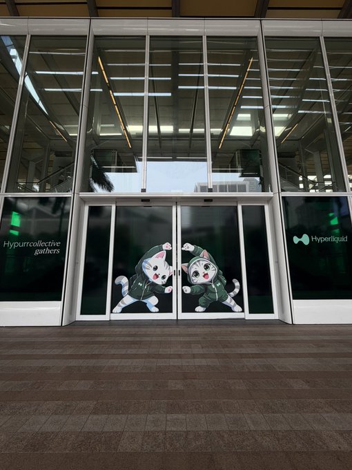 A storefront entrance features glass doors decorated with cartoon cat decals, flanked by signs reading 'Hypercollective gathers' and 'Hyperliquid'.