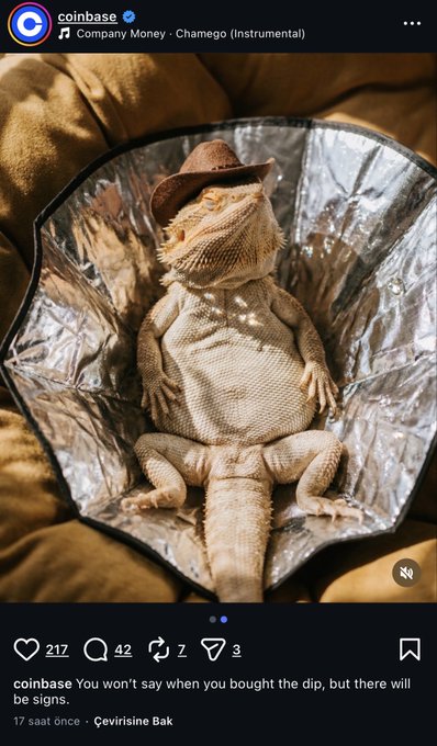 A Coinbase Instagram post featuring a small stuffed figure wearing a cowboy hat sitting in a reflective silver bowl, captioned 'You won't say when you bought the dip, but there will be signs.'