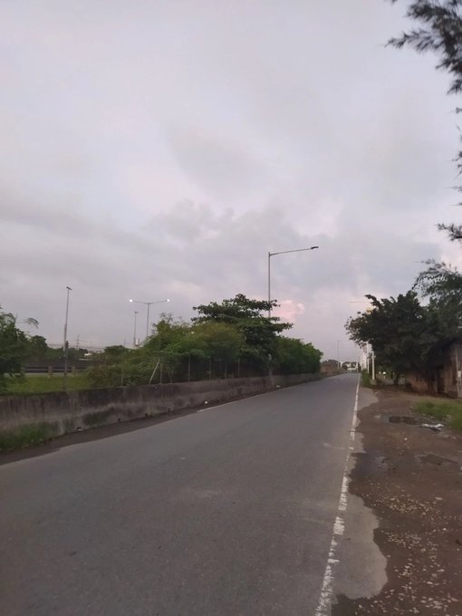 An empty paved road stretches into the distance under a cloudy, overcast sky, lined by a low wall, trees, and streetlights.
