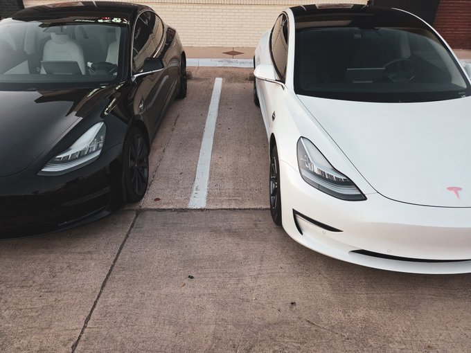 Two Tesla vehicles, one black and one white, are parked side by side in a parking lot, both featuring the distinctive Tesla 'T' logo.