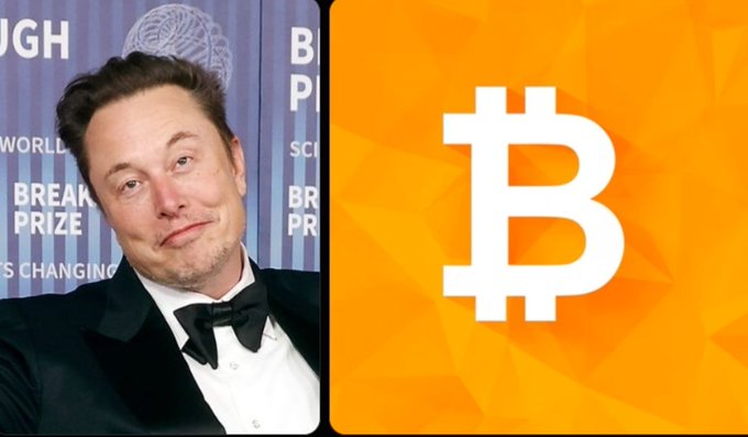 Elon Musk at a Breakthrough Prize event alongside a Bitcoin symbol, illustrating the post's claim that his companies Tesla and SpaceX collectively hold approximately $1.35 billion in unrealized BTC gains.