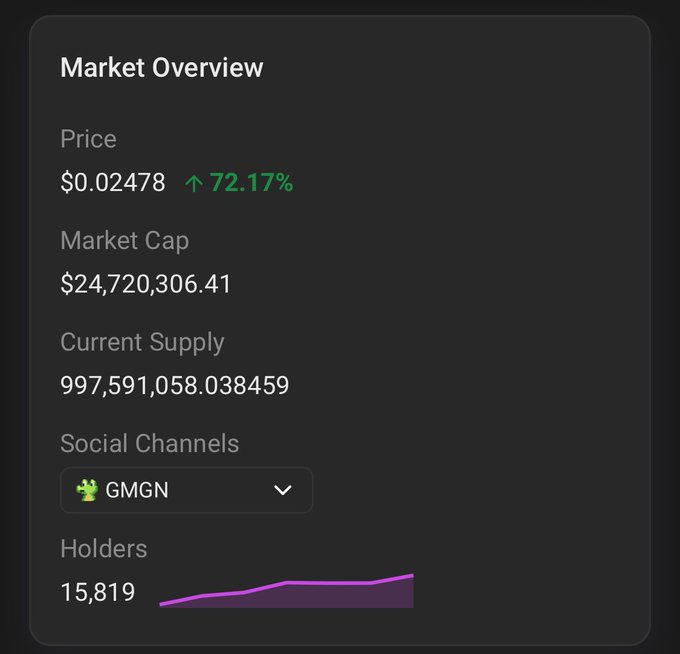 A 'Market Overview' screen showing a token called GMGN with a price of $0.02478 (up 72.17%), market cap of $24,720,306.41, current supply of ~997M, and 15,819 holders.