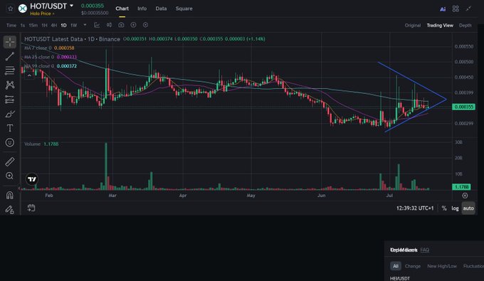 A TradingView candlestick chart for HOT/USDT showing a price of 0.000355 with moving averages (MA 7, MA 25) and a descending triangle pattern forming on the daily timeframe.