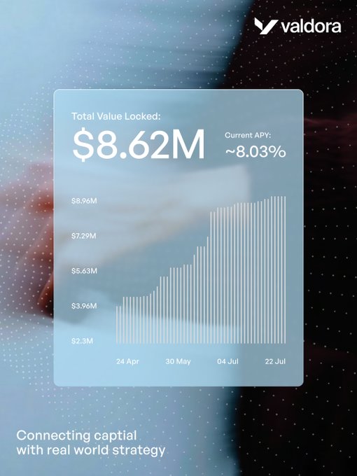 Valdora dashboard showing Total Value Locked of $8.62M and Current APY of ~8.03% with a bar chart, captioned 'Connecting capital with real world strategy'.