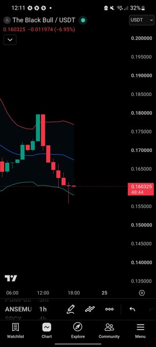 Trading chart showing The Black Bull / USDT at $0.160325, down 6.95% with candlestick data on a 1-hour timeframe.