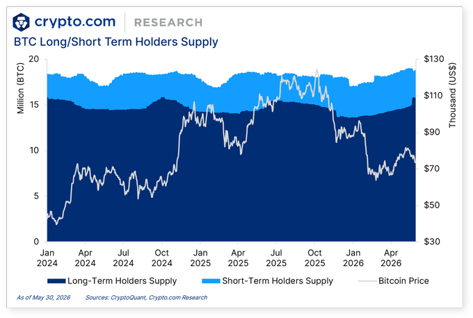 This image features a graph of Bitcoin's market price over time, with blue bars representing different months. The graph shows that the value has been relatively stable but has experienced significant swings throughout its history. In this particular month, the price appears stagnant or in a state of decline, which may be attributed to fluctuations in demand and supply for Bitcoin. The post suggests that there is more money being spent on Bitcoin than ever before, with its current price hovering around $3500. It also emphasizes that long-term term holders' support has been insufficient to prevent the price from going through a dip at some point during the last few years.