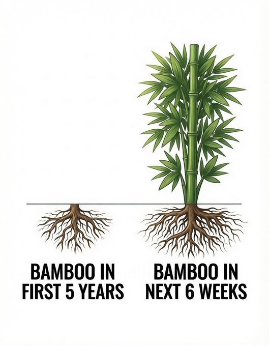 The image shows a side-by-side comparison of bamboo growth, with "BAMBOO IN FIRST 5 YEARS" displaying minimal above-ground growth but extensive root development, and "BAMBOO IN NEXT 6 WEEKS" showing a fully grown, lush bamboo plant. This visual reinforces the post's message about the importance of patience and persistence, as the bamboo's unseen root growth during five years enables its rapid flourishing in just six weeks—symbolizing how giving up too soon can cause us to miss our breakthrough moment.