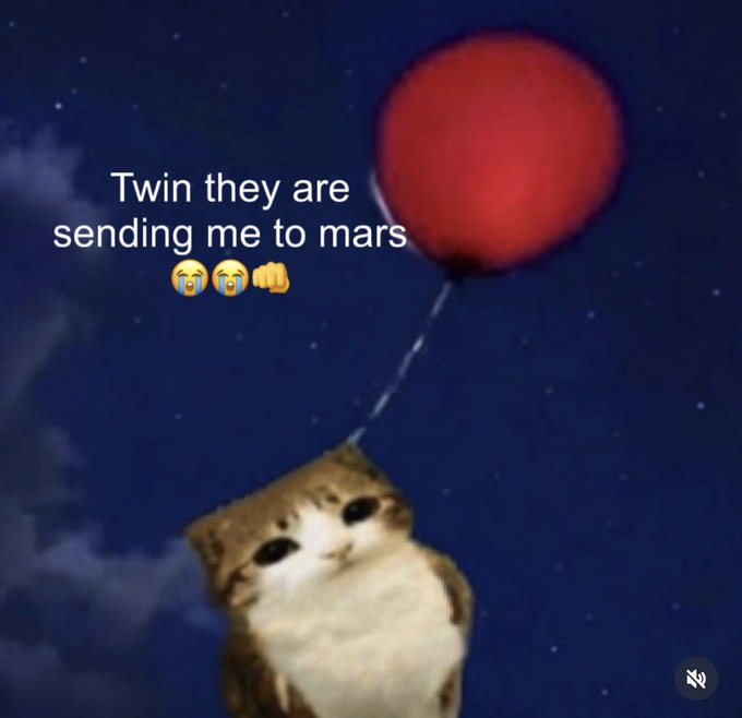 A meme image featuring a sad-looking cat floating away attached to a red balloon against a starry night sky, with caption text reading "Twin they are sending me to mars" accompanied by crying and fist emojis.