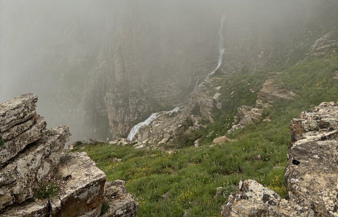 A misty mountain landscape featuring a rocky cliff face with a waterfall cascading down, surrounded by lush green grass and wildflowers in the foreground.