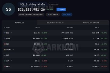 "The whale made over $100M holdingSol for 5 years." This could be a statement about a specific situation where the company's investment in stocks paid off. It may be showcasing their success with investments, or highlighting a particular period of growth.