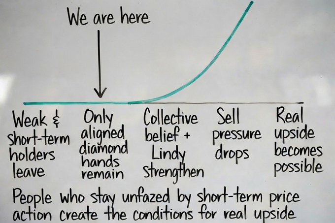 The image is a hand-drawn chart titled with an upward-curving line showing five stages: "Weak & short-term holders leave," "Only aligned diamond hands remain" (marked "We are here"), "Collective belief + Lindy strengthen," "Sell pressure drops," and "Real upside becomes possible," with the caption "People who stay unfazed by short-term price action create the conditions for real upside." It illustrates the post's message that bullish conviction ($ANSEM) will prevail as weak hands are shaken out, leaving committed holders to drive genuine price growth.