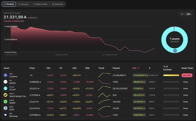 A cryptocurrency portfolio dashboard showing a portfolio value of 21,331.99 with a declining trend chart and a list of assets including ADA Cardano, iAG iAGON, STUFF, WMTX World Mobile Tok, NMR NMR, SNX Sinx, and Mineswap.
