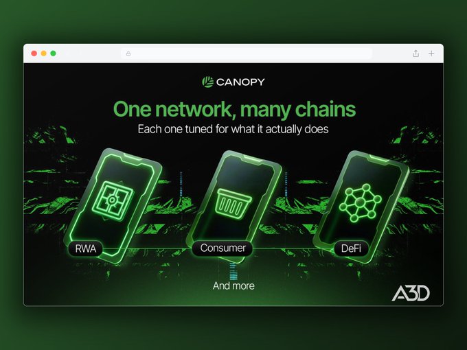 A promotional graphic for 'CANOPY' by A3D displaying 'One network, many chains - Each one tuned for what it actually does,' featuring three phone icons labeled RWA, Consumer, and DeFi on a dark green background.