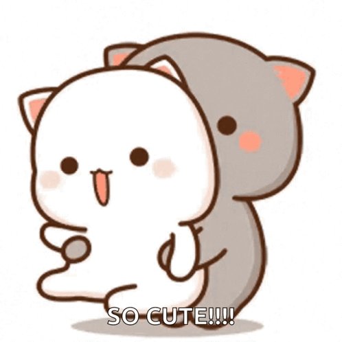 The image features a cartoon cat sitting next to another cat, both of them appearing to be gray. They are positioned close together with their heads touching, creating an interesting scene that could represent friendship or companionship between the two cats. The caption below the image reads "so cute!", which adds a playful and lighthearted tone to the overall composition.