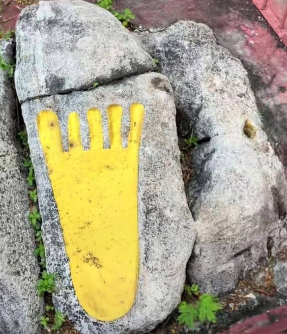 A yellow painted footprint outline on a gray stone or concrete surface sits among other rocks and small green plants.