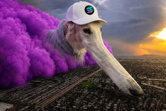 A dog with an unusually long snout, wearing a white baseball cap featuring the Solana (SOL) logo, looms over a city skyline while blowing a massive plume of purple smoke. The image whimsically illustrates the post's "looong storm" warning, using the dog's elongated features as a visual pun for an extended bearish trend affecting Solana.