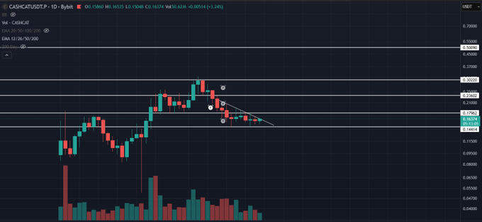 A candlestick chart of CASH/USDT on Binance shows price dropping to $0.16374, with horizontal support lines at $0.16111 and $0.17662, supporting the post's claim of a bottom for $CASHCAT.
