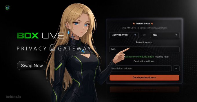 An anime-style blonde character in a futuristic black suit advertises 'BDX LIVE Privacy Gateway' alongside an 'Instant Swap' cryptocurrency exchange interface for USDT to BDX on beldex.io.
