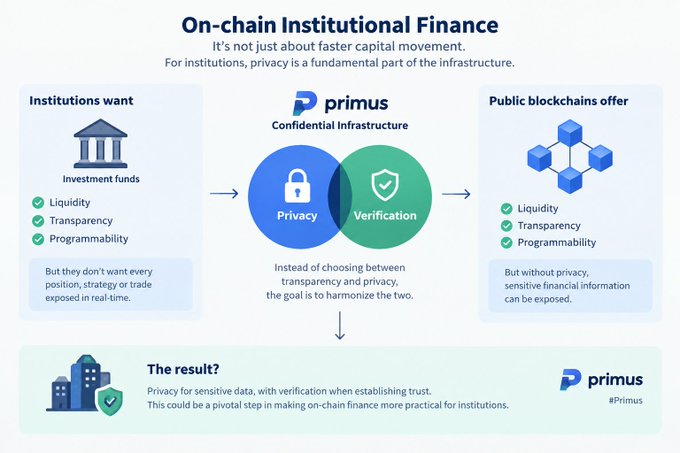 Primus infographic titled 'On-chain Institutional Finance' explaining how confidential infrastructure harmonizes privacy and verification for institutional needs.