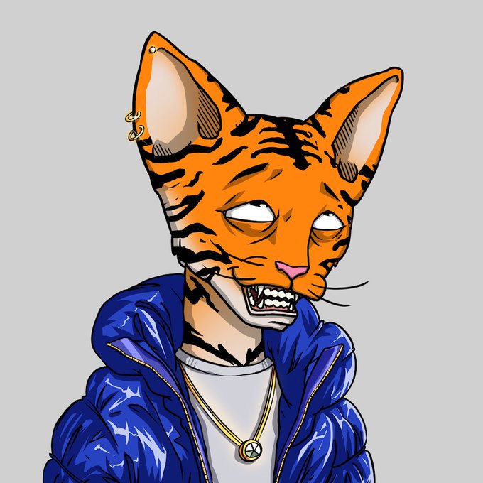 A cartoon illustration of an orange tabby cat character wearing a blue puffer jacket, gold earrings, and a gold chain necklace.