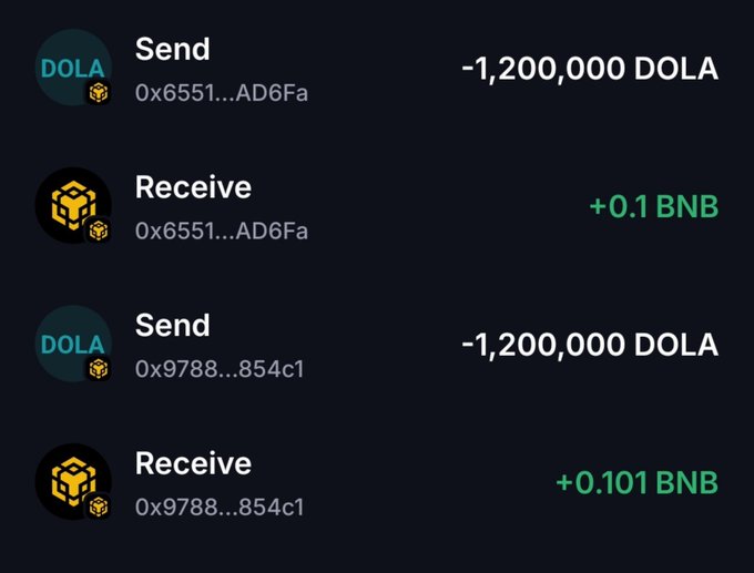 A cryptocurrency transaction history shows two pairs of sends and receives: -1,200,000 DOLA followed by +0.1 BNB, and another -1,200,000 DOLA followed by +0.101 BNB.