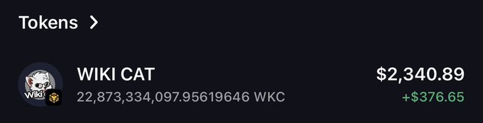 A cryptocurrency display showing 'Tokens' with the token 'WIKI CAT' (WKC) at a value of $2,340.89 and an increase of +$376.65.