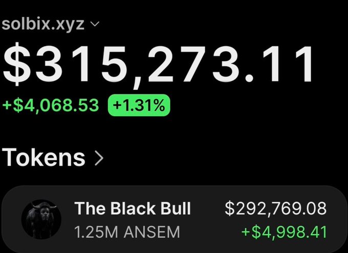 The image shows a portfolio view for wallet "solbix.xyz" displaying a total value of $315,273.11 (+$4,068.53, +1.31%), with a highlighted token called "The Black Bull" showing 1.25M ANSEM tokens valued at $292,769.08 (+$4,998.41). This corresponds to the post highlighting the massive 68x gain on $Ansem, showing the still-held token portion worth approximately $293,100.