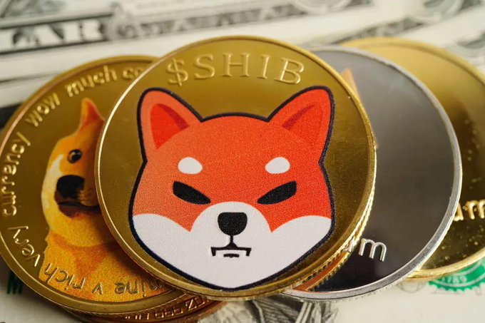Shiba Inu-themed commemorative coins featuring the $SHIB ticker and the iconic Shiba Inu dog mascot rest atop U.S. dollar bills, visually reinforcing the post's claim about Rakuten's new physical coin release bridging tangible collectibles with the $SHIB cryptocurrency.