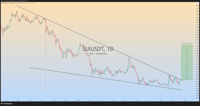 A daily candlestick chart of SUI/USDT (SUI/TetherUS) from TradingView displays a falling wedge pattern, with a green projection box indicating an anticipated massive bullish rally of approximately 65% upon an upside breakout. The chart visualizes the descending trendlines converging to form the wedge, supporting the post's prediction of a significant price movement if momentum breaks to the upside.