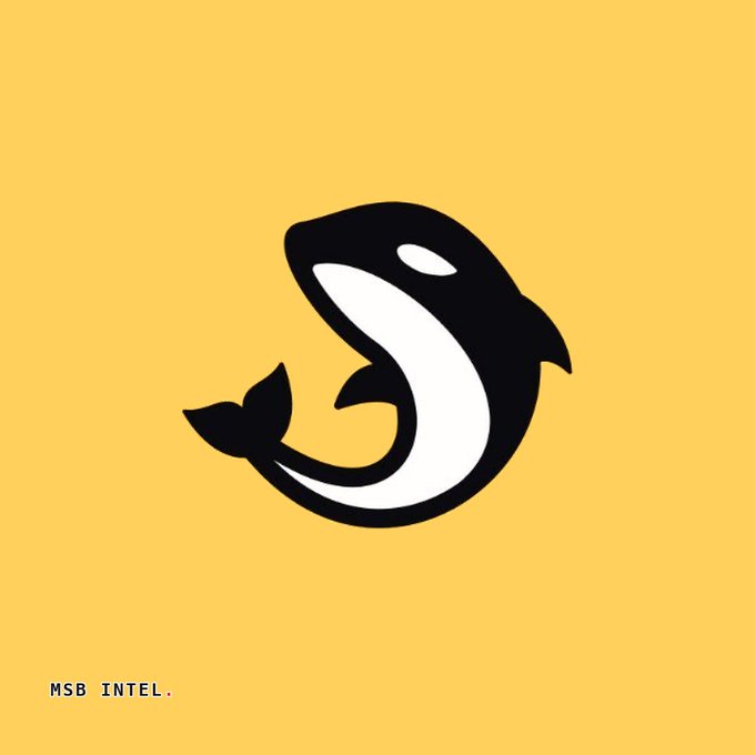 A minimalist graphic on a mustard-yellow background featuring a black and white stylized logo of a curved, fish-like creature with 'MSB INTEL.' written in the bottom left corner.