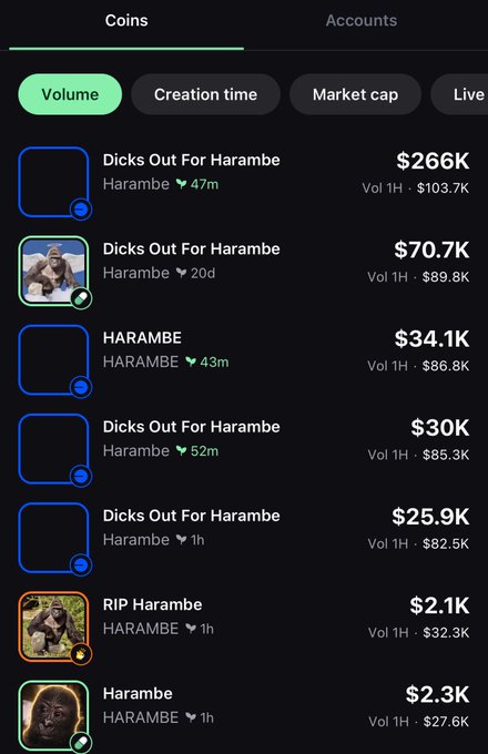 The image shows a phone screen with the Instagram app open, displaying an account named "Harambe" and several photos of people. The content appears to be about "Ducks Out For Harrambe". A post has been shared on the social media platform, featuring a photo that says "Ducks Out For Harrambe", accompanied by the hashtag "#DucksOutForHarambe". In addition to these posts, there is also a post titled "DRIP HARAMBE" with a number of photos and text. It seems that some people are sharing images of a person named "Pepe" or talking about an account called "@pumpfun as shoon as the White House tweets something Lame !!! These $sol #memcoins pump and dump and take your money ...", suggesting that someone is attempting to artificially inflate the value of this particular account.