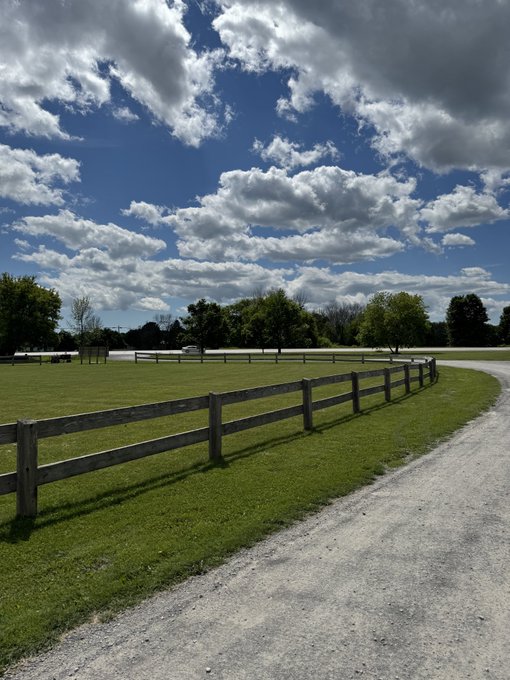 A curving wooden fence borders a lush green pasture under a bright blue sky dotted with fluffy white clouds, perfectly capturing the pleasant weather. A gravel driveway winds through the rural scene, complementing the "GM the WEATHER is nice today" post.