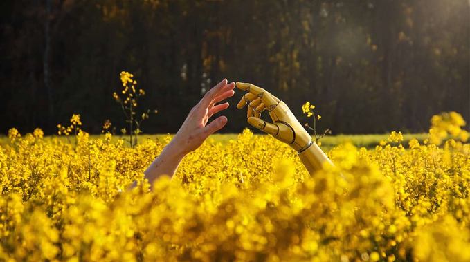 A human hand reaches toward a robotic hand in a field of yellow flowers, with the fingertips nearly touching in a symbolic gesture against a dark, blurred forest background.