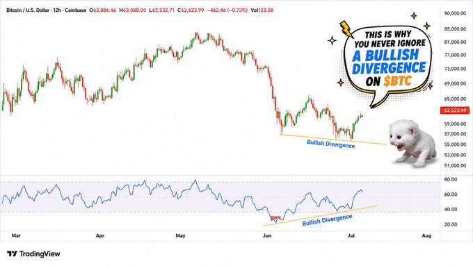 A TradingView candlestick chart of Bitcoin/U.S. Dollar on Coinbase shows BTC recovering from a low near $62,623.99 in late June/early July, with a speech bubble declaring "THIS IS WHY YOU NEVER IGNORE A BULLISH DIVERGENCE ON $BTC" pointing to matching RSI and price divergences. This visually reinforces the caption's message that early observers of the bullish divergence stayed calm while latecomers were caught by surprise.