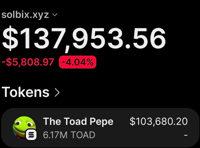 The image displays a wallet summary from solbix.xyz showing a balance of $137,953.56 (down $5,808.97 or -4.04%), with the largest holding being 6.17M $TOAD ("The Toad Pepe") valued at $103,680.20. This visualizes the post's claim of turning a $13,000 entry into over $106,000 in profit on the $Toad token.