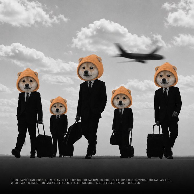 A crypto marketing image featuring five Shiba Inu dogs wearing orange hoodies and black suits with rolling suitcases, walking with an airplane flying overhead.