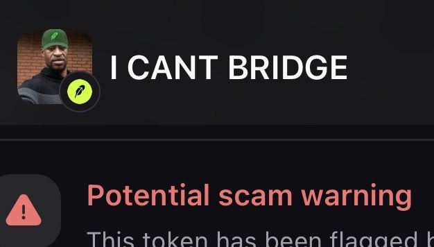 The image shows a user profile with the username "I CANT BRIDGE" alongside a "Potential scam warning" alert, indicating a flagged token. This relates to the post by highlighting a user admitting they can't bridge (transfer assets between blockchains), which is exactly the kind of red flag associated with scam tokens on new chains that prevent users from moving their funds.