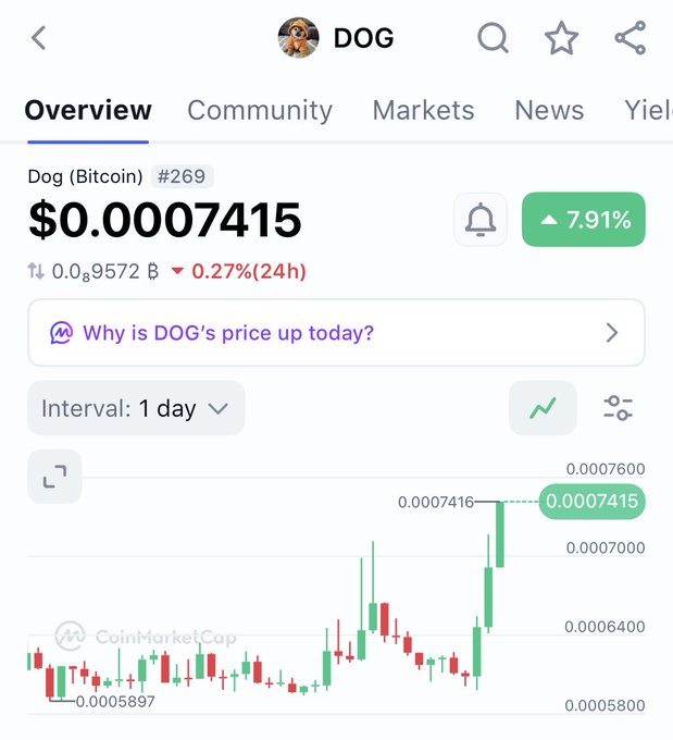 CoinMarketCap price chart for Dog (Bitcoin) ticker DOG showing a price of $0.0007415 with a 7.91% increase, ranked #269