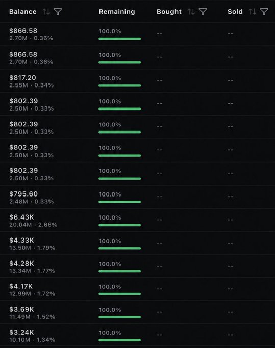 A financial table displaying balances and remaining percentages, with values ranging from $795.60 (2.48M, 0.33%) to $866.58 (2.70M, 0.36%), all showing 100.0% remaining and no bought or sold data.