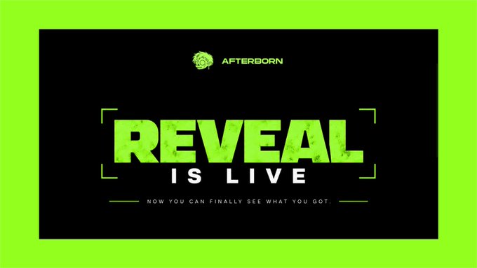 A promotional graphic for the "AFTERBORN" NFT collection features bold green and black styling, displaying the text "REVEAL IS LIVE" along with the tagline "NOW YOU CAN FINALLY SEE WHAT YOU GOT," announcing the unveiling of the project's digital collectibles on OpenSea.