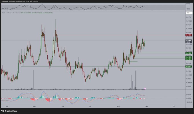 The image displays a TradingView candlestick chart for PLUME/USD, showing price action ranging between approximately 0.01575 and 0.01750 from May through September, with a MACD indicator at the bottom. The chart supports the post's bullish thesis by showing recent upward price momentum and consolidation near resistance levels, suggesting a potential breakout setup consistent with the author's "RWA season" accumulation strategy.