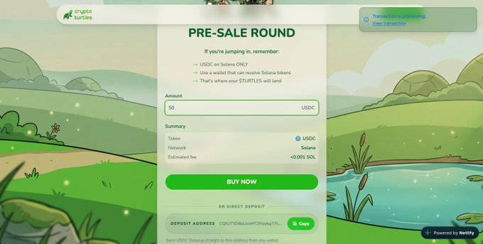 A screenshot of the Crypto Turtles pre-sale round interface, showing a $50 USDC purchase option on the Solana network with a "Buy Now" button and deposit address. The image illustrates the poster's first-hand experience purchasing $TURTLES tokens during the project's pre-sale phase.