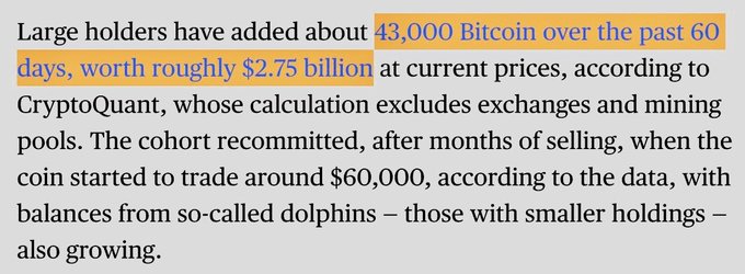 A highlighted text excerpt stating that large holders have accumulated approximately 43,000 Bitcoin over 60 days, valued at roughly $2.75 billion according to CryptoQuant data.