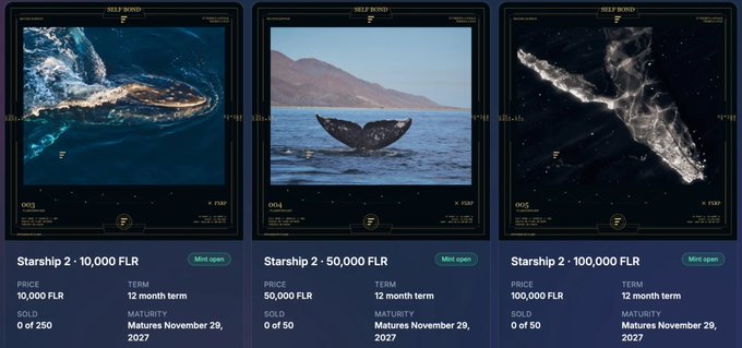 A webpage displaying NFT mint options titled 'Starship 2 – 10,000 FLR', 'Starship 2 – 50,000 FLR', and 'Starship 2 – 100,000 FLR' with prices listed, all marked 'SOLD'. The NFTs depict images of whales and nebulae.
